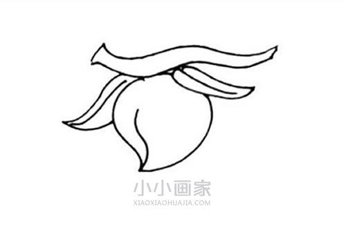 树上的桃子简笔画画法图片步骤- www.chuantongba.top