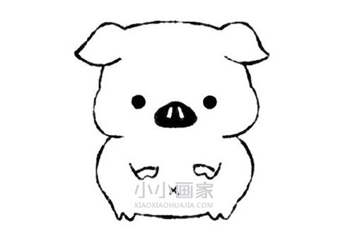 粉色小猪简笔画画法图片步骤- www.chuantongba.top