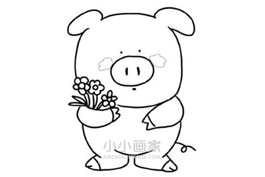 情人节小猪简笔画画法图片步骤- www.chuantongba.top