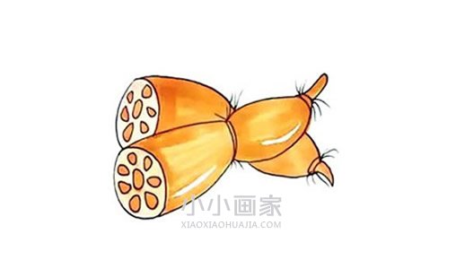 两个莲藕简笔画画法图片步骤- www.chuantongba.top
