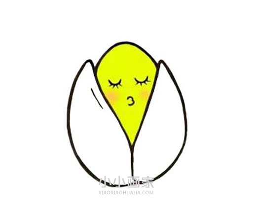 卡通开心果简笔画画法图片步骤- www.chuantongba.top