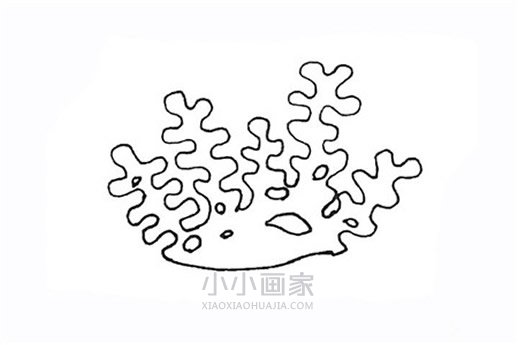 彩色珊瑚简笔画画法图片步骤- www.chuantongba.top