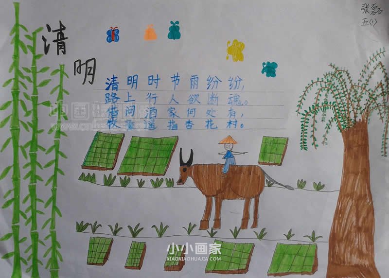 五年级清明节扫墓手抄报简单内容图片- www.chuantongba.top
