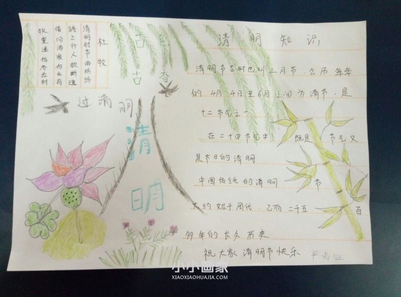 关于清明的手抄报图片内容一等奖五年级- www.chuantongba.top