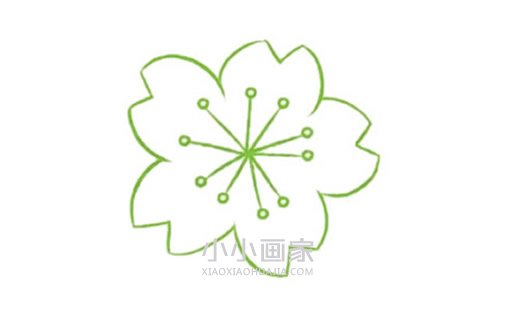 一朵樱花简笔画画法图片步骤- www.chuantongba.top