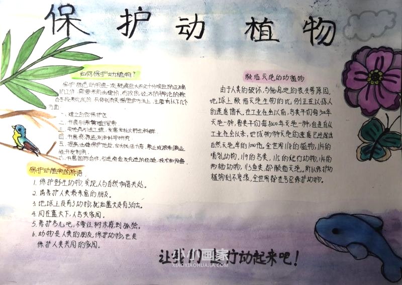 动植物保护内容图片简单- www.chuantongba.top