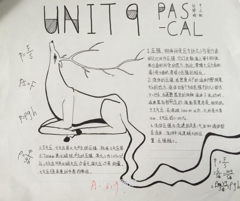 初二物理浮力手抄报内容简单又漂亮- www.chuantongba.top