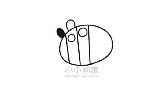 彩色斑马左伊简笔画画法图片步骤- www.chuantongba.top