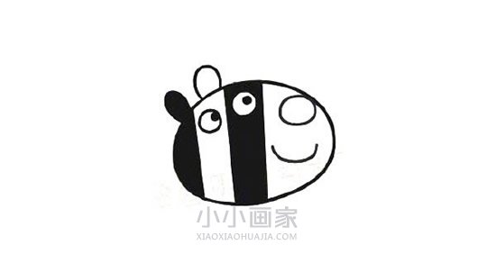 彩色斑马左伊简笔画画法图片步骤- www.chuantongba.top