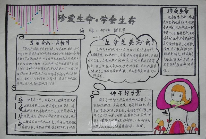 一年级“珍爱生命，学会生存”手抄报简单- www.chuantongba.top