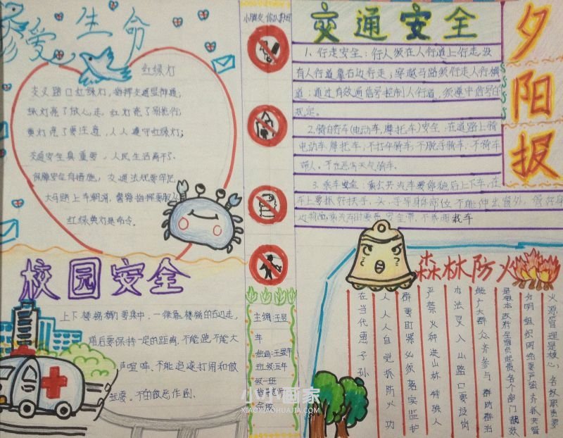 四年级珍爱生命重视安全手抄报内容图片- www.chuantongba.top