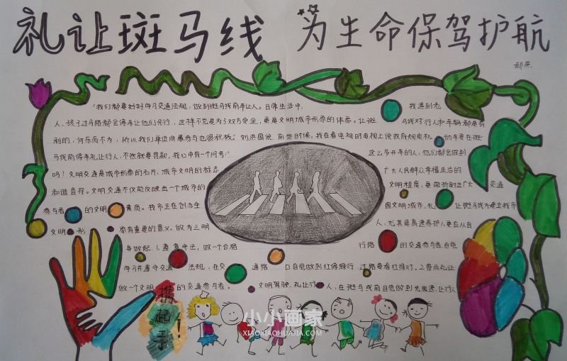 初一礼让斑马线手抄报内容资料- www.chuantongba.top
