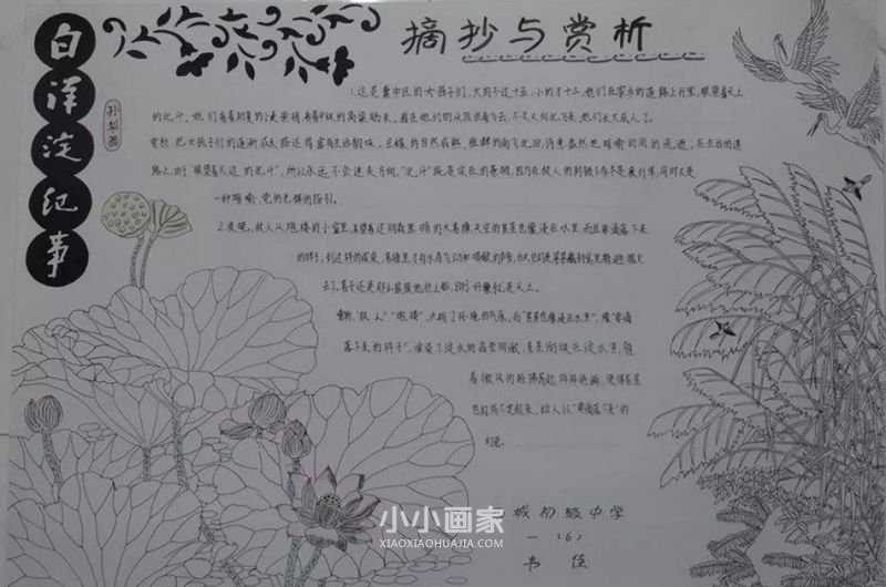 初一白洋淀纪事手抄报简单图片- www.chuantongba.top
