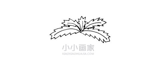 岛上的椰子树简笔画画法图片步骤- www.chuantongba.top