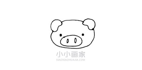 坐姿小猪简笔画画法图片步骤- www.chuantongba.top