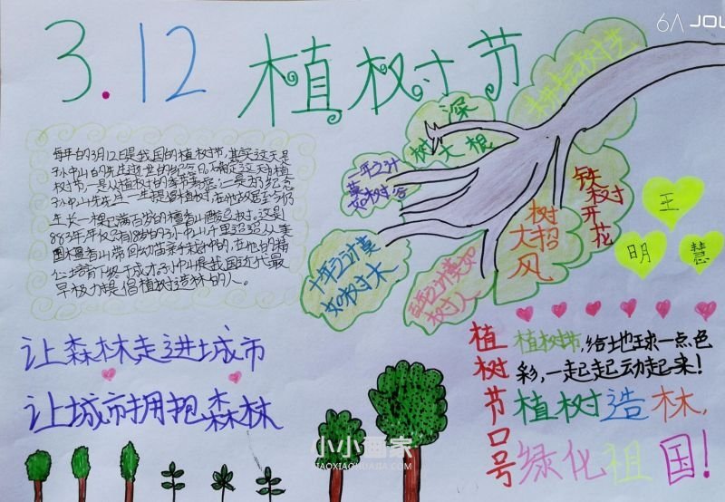 六年级312植树节手抄报大全简单字少- www.chuantongba.top