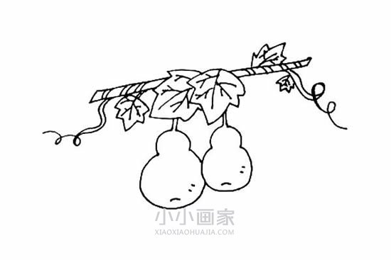 可爱葫芦简笔画画法图片步骤- www.chuantongba.top