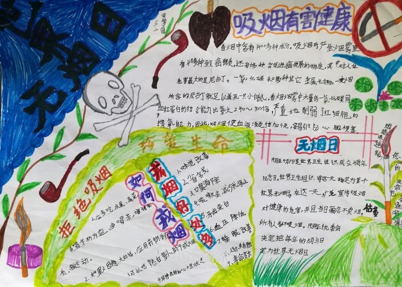 三年级世界无烟日手抄报图片简单- www.chuantongba.top