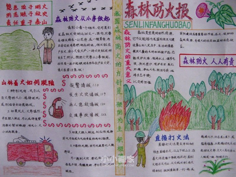 森林防火手抄报内容图片简单又漂亮初一- www.chuantongba.top