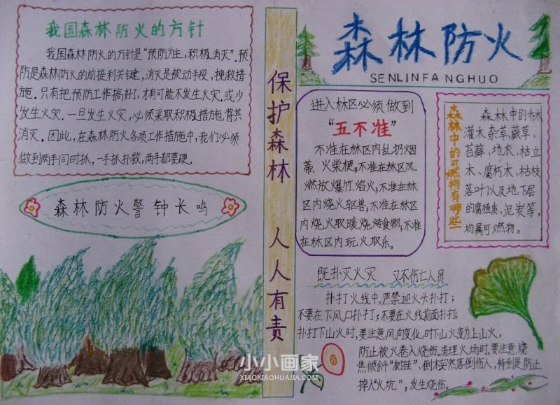 森林防火手抄报内容图片简单又漂亮初一- www.chuantongba.top
