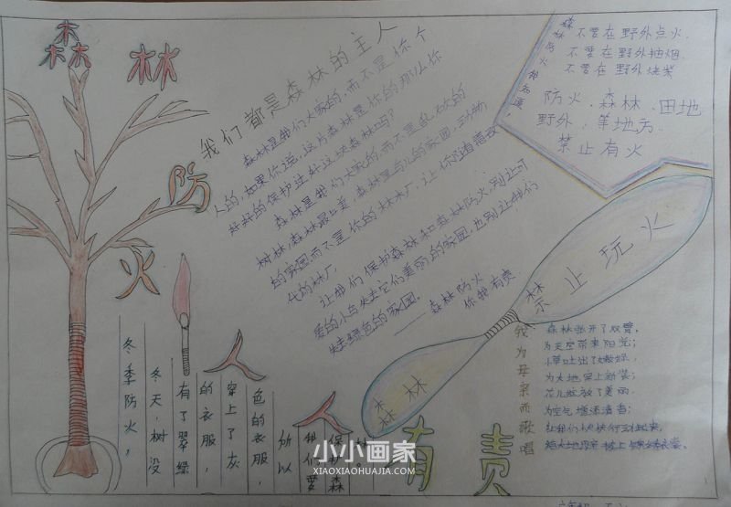森林防火手抄报内容图片简单又漂亮初一- www.chuantongba.top