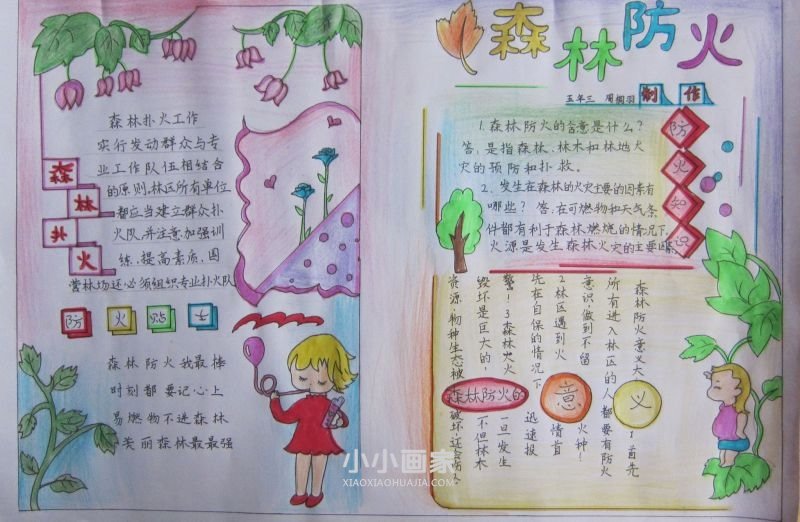 护林防火爱我家园手抄报图片五年级- www.chuantongba.top