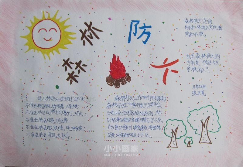 护林防火爱我家园手抄报图片五年级- www.chuantongba.top