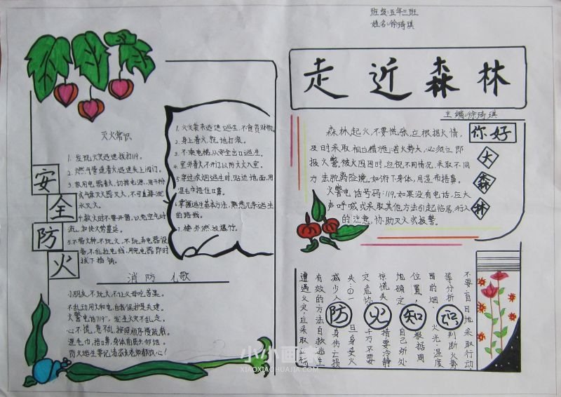 护林防火爱我家园手抄报图片五年级- www.chuantongba.top