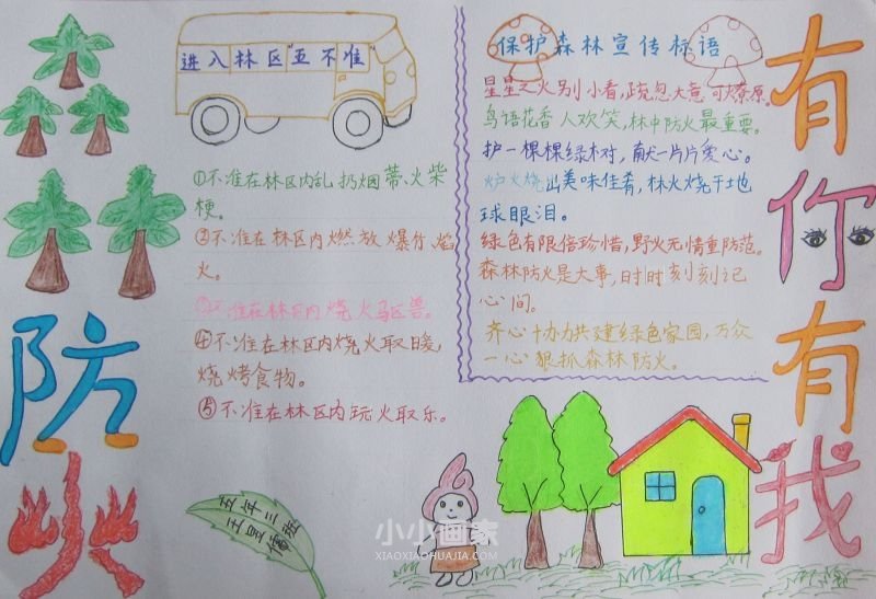 护林防火爱我家园手抄报图片五年级- www.chuantongba.top