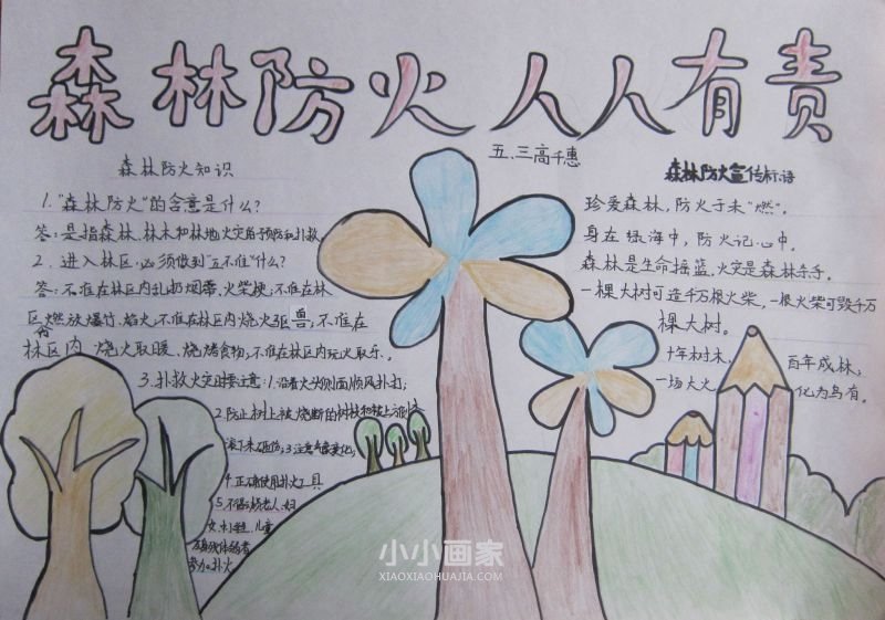 护林防火爱我家园手抄报图片五年级- www.chuantongba.top