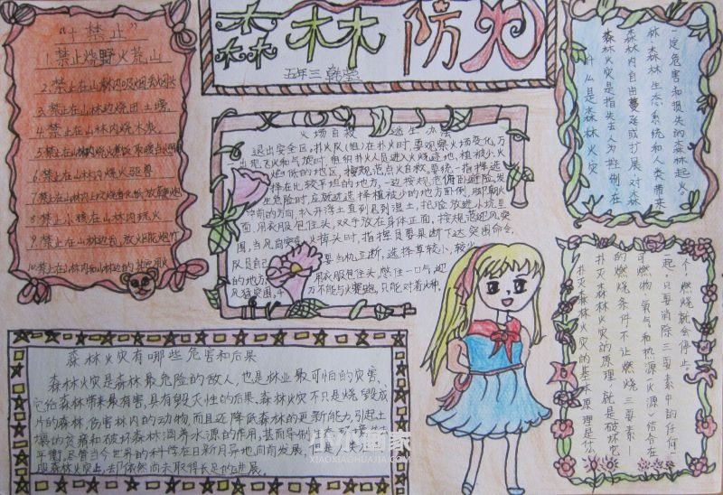 森林防火有你有我手抄报五年级- www.chuantongba.top