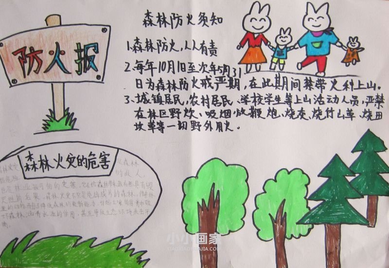 森林防火有你有我手抄报五年级- www.chuantongba.top