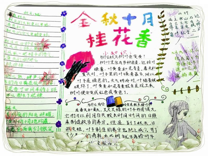 秋之韵手抄报图片一等奖好看五年级- www.chuantongba.top