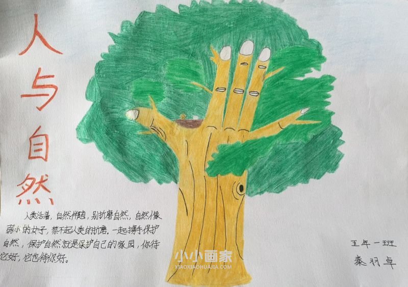 人与自然手抄报图片大全简单五年级- www.chuantongba.top