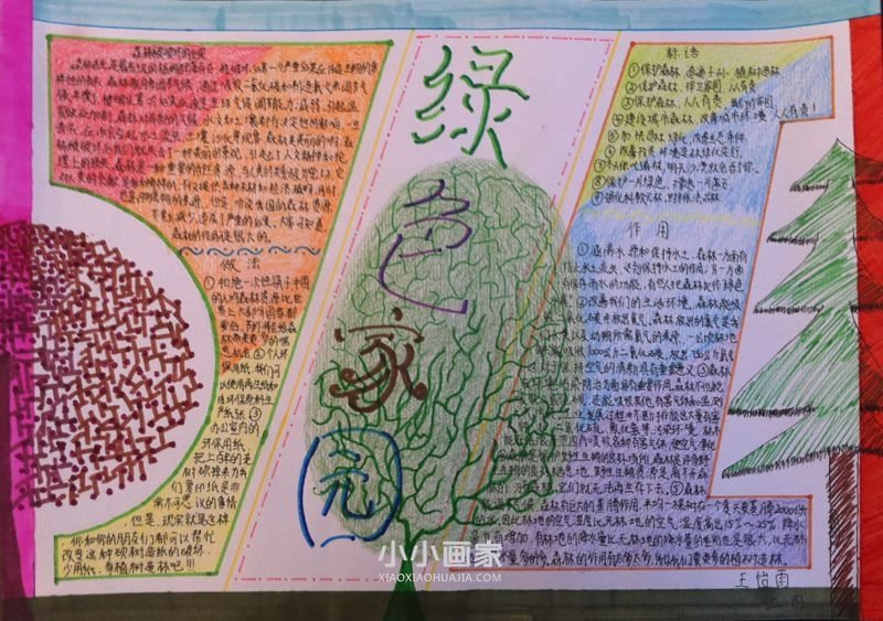 创森林城市享绿色家园手抄报图片内容四年级- www.chuantongba.top