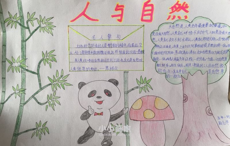 人与自然手抄报图片内容大全五年级- www.chuantongba.top