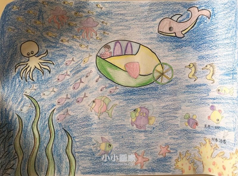 人与自然手抄报图片内容大全五年级- www.chuantongba.top