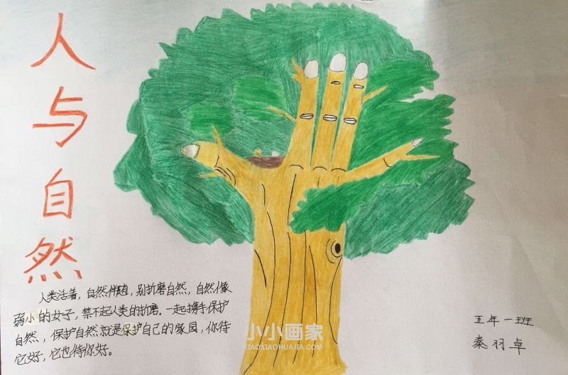 人与自然手抄报图片内容资料简单五年级- www.chuantongba.top